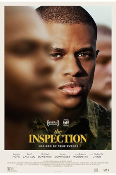 The Inspection