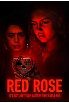 Red Rose